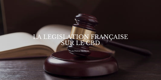 Loi CBD France